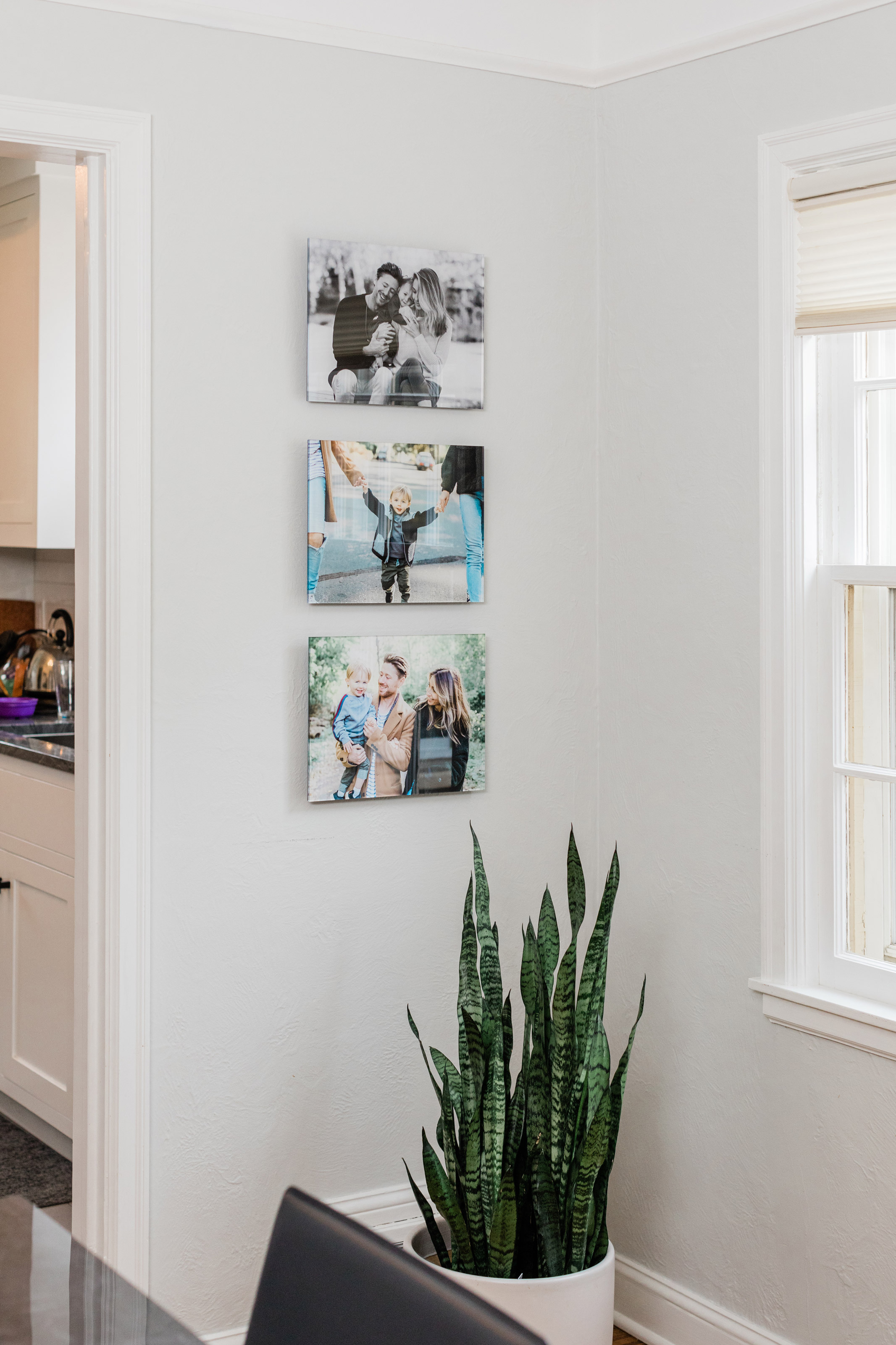 Three family portrait Acrylic Prints hung in a vertical stack on livingroom wall, post with snake plant below