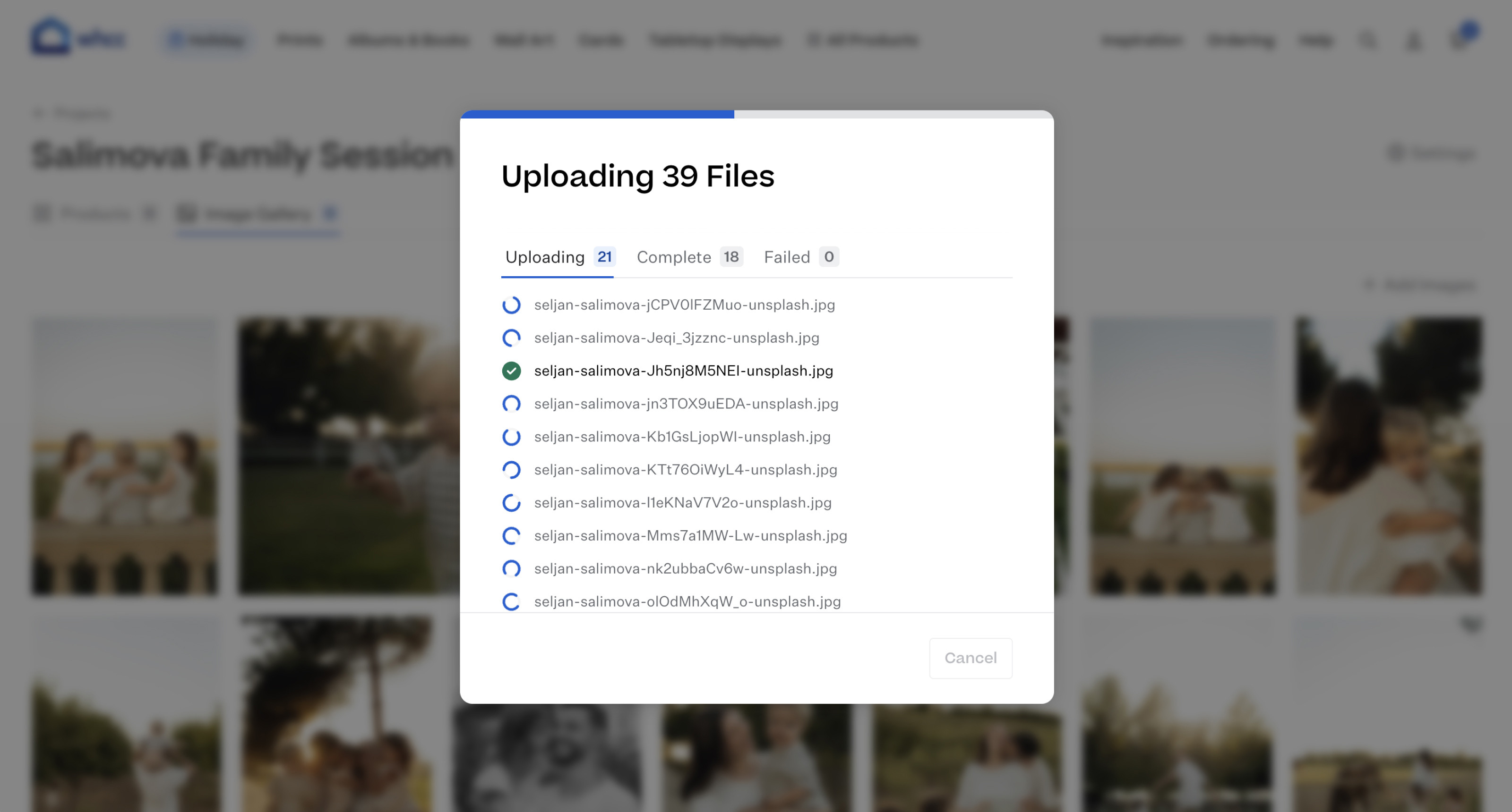 Image file upload modal open over a project gallery tab with list of the filenames currently being uploaded